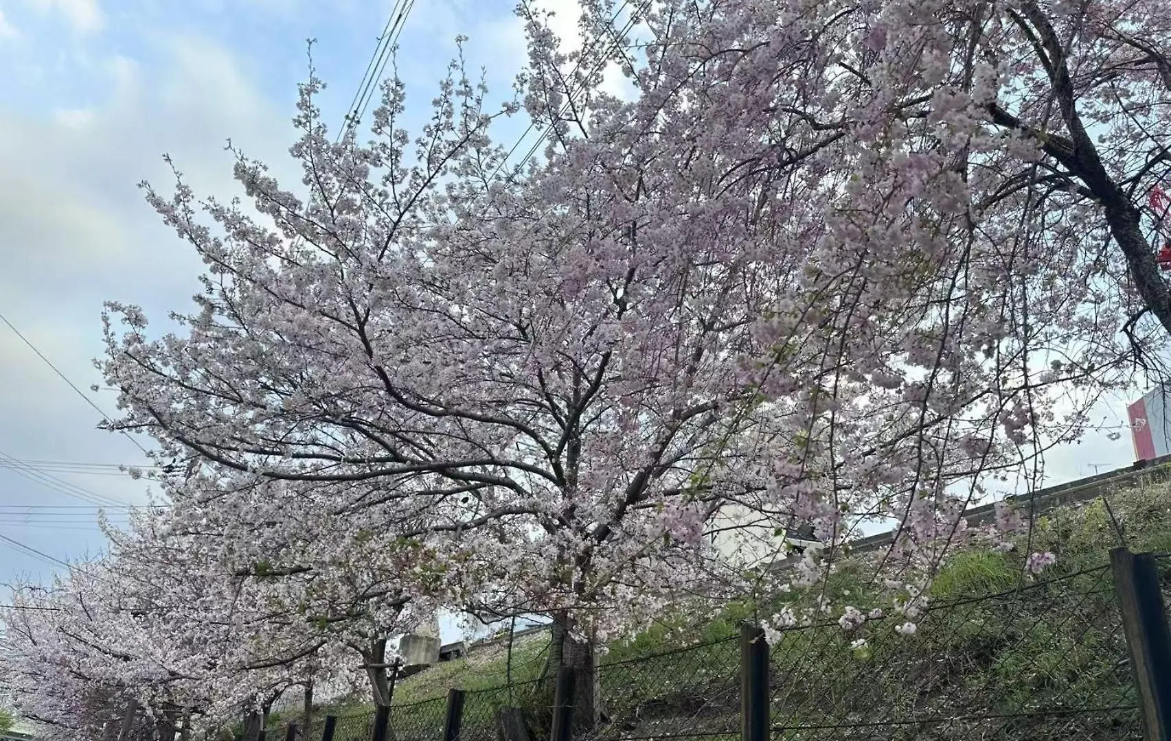 Tabitaime-Kishinosatomiyama - Vacation Stay 18832 Osaka 0*,