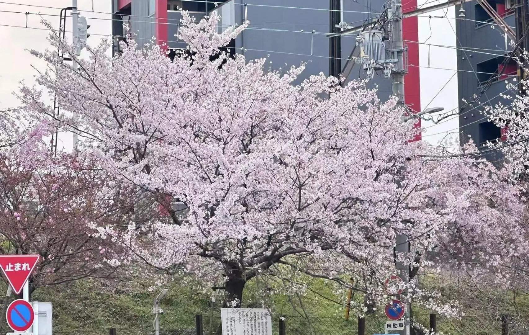 Tabitaime-Kishinosatomiyama - Vacation Stay 18832 Osaka Holiday home